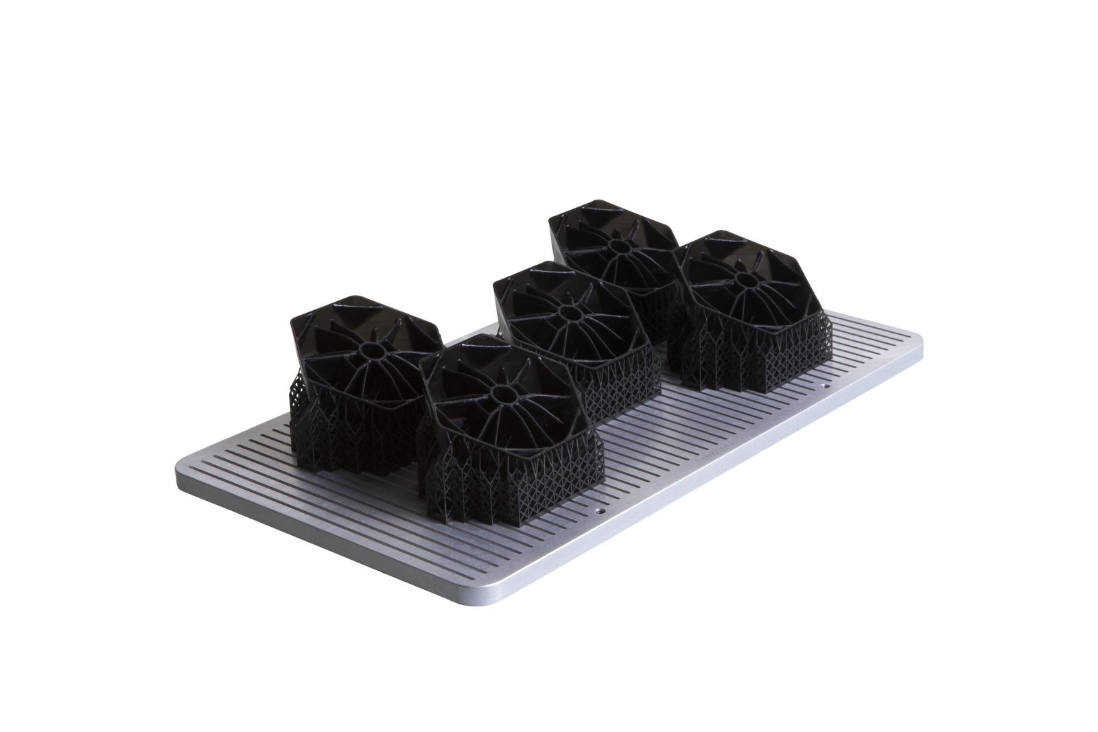 TrinityWheelerPhotography-7609